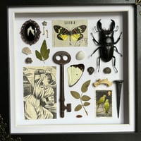 Image 2 of trinket frame #5