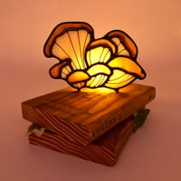 Image 4 of Iridescent Brown Oyster Mushrooms Book 