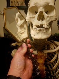 Image 2 of Coffin shaped vintage Hand Mirror - With Real Preserved Spider Web 