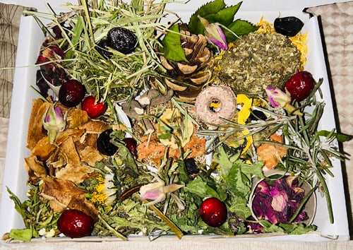 Image of Enrichment forage box