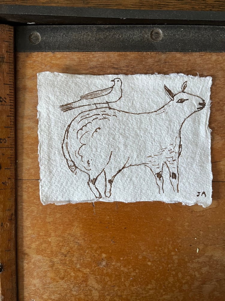 Image of Sheep and bird companion. 