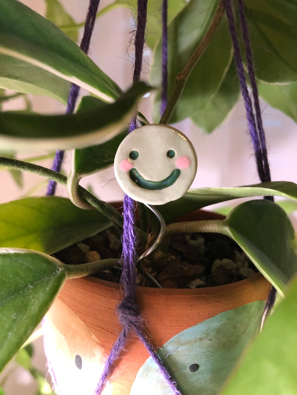 Image of Mini Plant friends