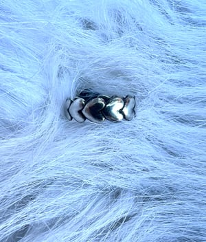 Image of Main Muscle Ring