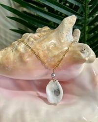 Image 1 of Oyster Shell Necklace N170