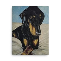 Image 2 of Doberman