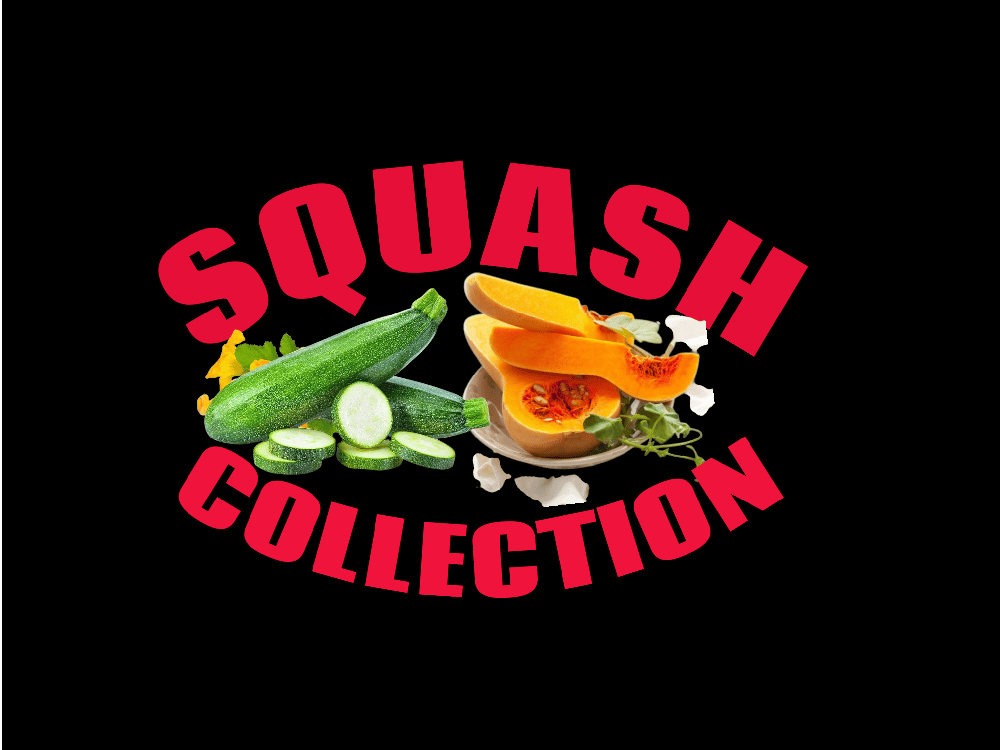 BUTTERNUT SQUASH. Oil. Protein Powder. Parmesan Cheese Alternative. Bits. Spirals.