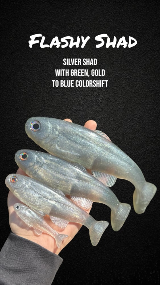 Roma Trout - Flashy Shad - Image 2