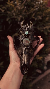 Image 3 of Forest VVitch III 