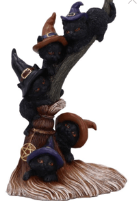 Image 5 of Broomstick Kindle 21cm