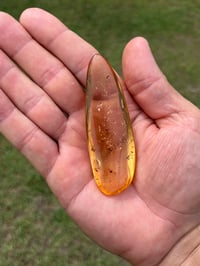 Image 11 of Copal Amber With Preserved Insects #2629