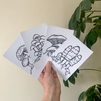 Image 1 of Mushroom Postcard Print - set of 4