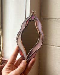 Image 2 of Cosmos (mini)