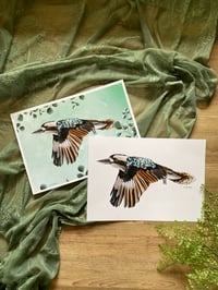 Image 1 of Kookaburra Prints