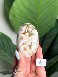 Image 1 of CHOOSE YOUR OWN ORBICULAR VEINLESS OCEAN JASPER PALM STONES -MADAGASCAR- 