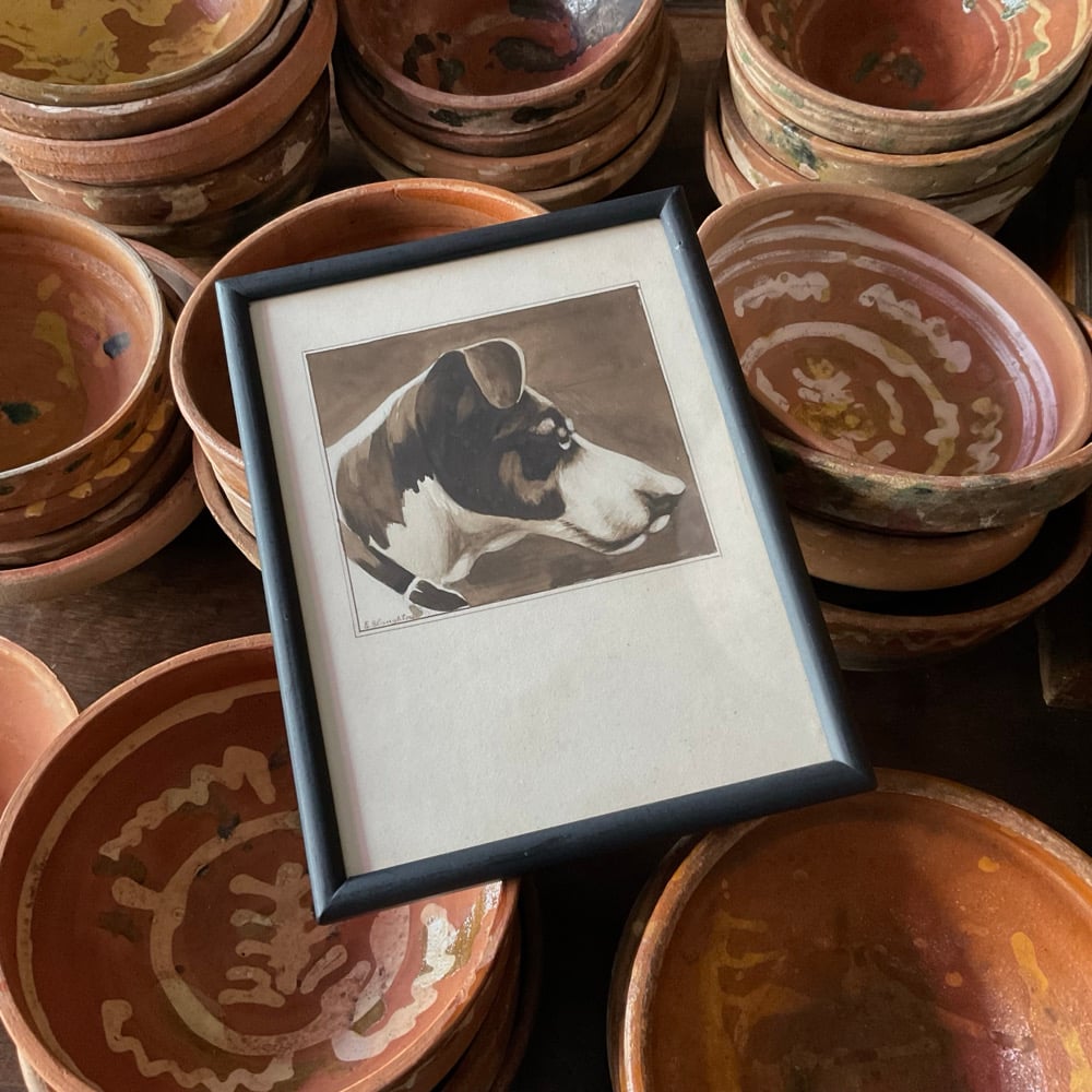 Image of Dog Portrait