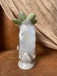 Image 3 of Ghost Plant in White Swan