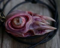 Image 4 of Flesh Oracle Snaggletooth Pendant - Handmade OOAK
