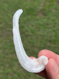 Image 8 of Rams Horn Selenite, Gypsum Specimen | Guizhou China #2867