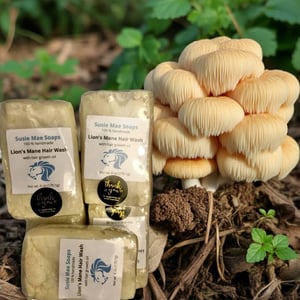 Image of Lion's Mane Hair Wash (with hair growth oil)