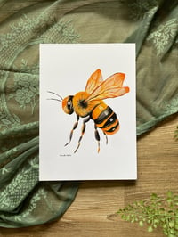 Image 2 of Bee Prints