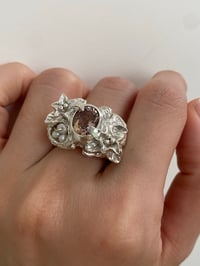 Image 4 of Sunset Reverie