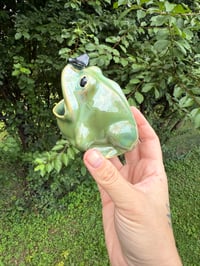 Image 3 of Frogs 