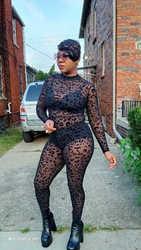 Image 1 of Black Cat 