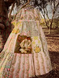 Image 1 of 'Meadow Lark' with Sleeves Mid-Century Vintage Rose Full Length Dress