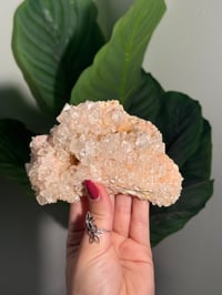 Image 1 of PINK INDONESIAN CALCITE F