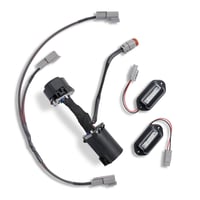 Image 1 of License Plate Wiring Harness