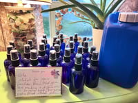 Image 1 of Royal Hawaiian Sandalwood Hydrosol