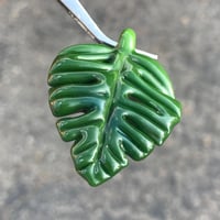 Image 4 of Green Monstera Leaf
