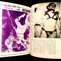 Image 10 of BARBARELLA 