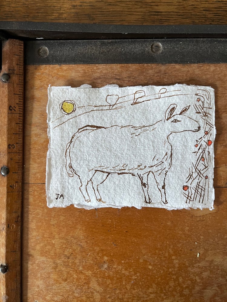 Image of Sheep and hedge