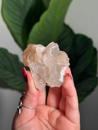 Image 2 of BOWTIE STILBITE X DIAMOND APOPHYLITE -INDIA- D