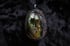 dead good insect scene necklace Image 4