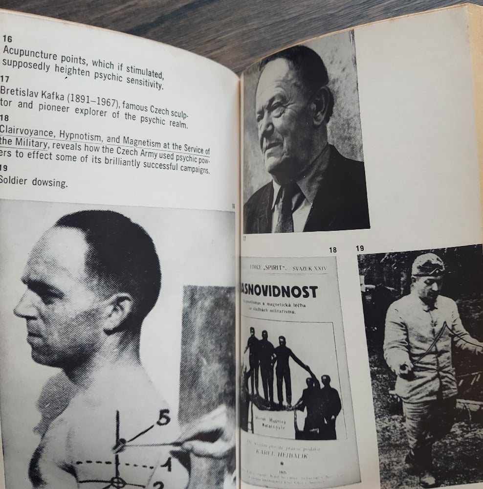 Psychic Discoveries Behind the Iron Curtain, by Sheila Ostrander and Lynn Schroeder