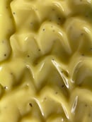 Image 1 of Lemon Poppy Soap Bar 