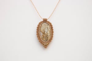 Image of Coral Fosil 