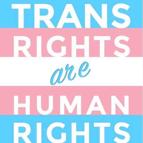 Image of Trans Pride Pendants 