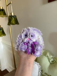 Image 4 of Lilac Bunny