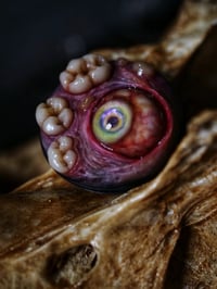 Image 4 of Teratoma, Glow bright eye, Swappable Phone Grip/Socket for smartphones