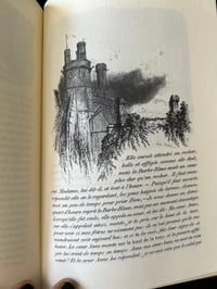 Image 21 of Les contes de Charles Perrault, éditions de luxe Jean de Bonnot, 1978.