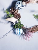 Beachy Topical Winter Wreath with Succulent and Sea Shells 