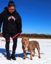 DOG MOM LOVE 