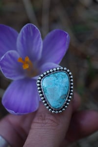 Image 4 of Old Stock Turquoise Butterfly Wide Band | Size 8.5