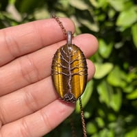 Image 2 of Tigers Eye Tree 🌳🤎