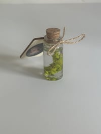 Image 4 of Paint Artefact from Studio - Cadmium Green