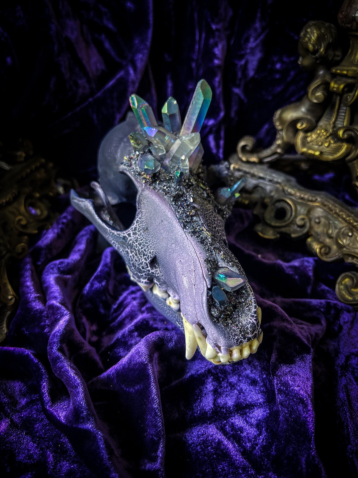 Resin sparkly black and purple coyote skull selling