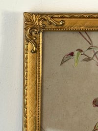 Image 5 of Ancienne gouache aux roses, cadre doré